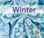 Omslag van Winter