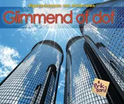Omslag van Glimmend of dof