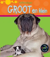 Omslag van Groot en klein