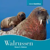 Omslag van Walrussen