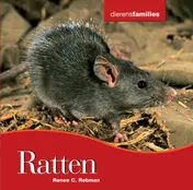Omslag van Ratten