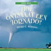 Omslag van Hoe ontstaat een tornado?