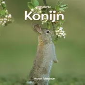 Omslag van Konijn