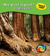 Omslag van Hoe groot is groot?