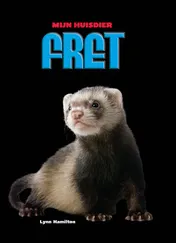 Omslag van Fret