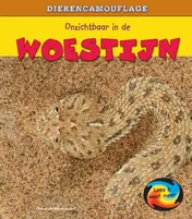 Omslag van Onzichtbaar in de woestijn