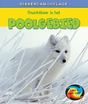 Omslag van Onzichtbaar in het poolgebied