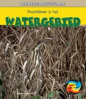 Omslag van Onzichtbaar in het watergebied