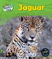 Omslag van Jaguar