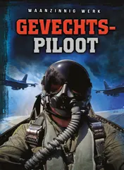 Omslag van Gevechtspiloot