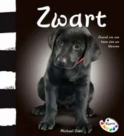 Omslag van Zwart