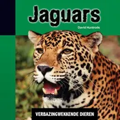 Omslag van Jaguars