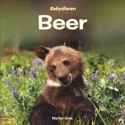 Omslag van Beer