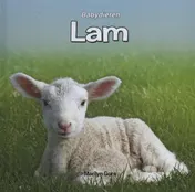 Omslag van Lam