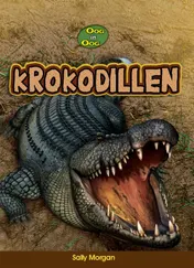 Omslag van Krokodillen