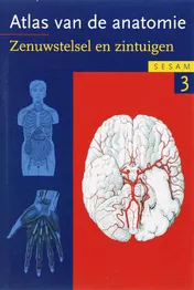 Omslag van 3 Zenuwstelsel en zintuigen
