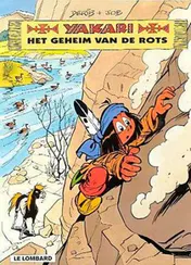 Omslag van Het geheim van de rots