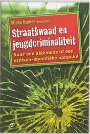 Omslag van Straatkwaad en jeugdcriminaliteit