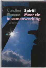 Omslag van Spirit! Meer zin in samenwerking