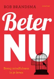 Omslag van Beter nu