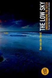 Omslag van The low sky