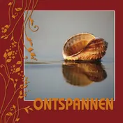 Omslag van Loslaten