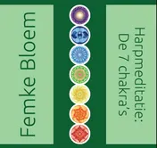 Omslag van CD chakra meditatie