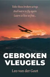 Omslag van Gebroken Vleugels