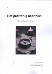 Omslag van Het pad terug naar huis