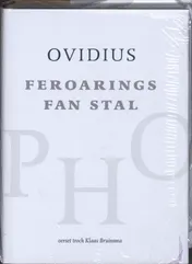 Omslag van Feroarings fan stal