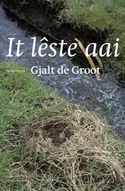 Omslag van It lêste aai