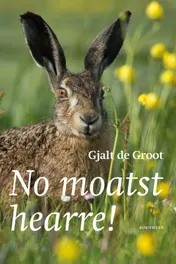 Omslag van No moatst hearre!