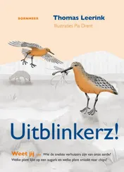 Omslag van Uitblinkerz!