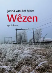 Omslag van Wêzen