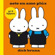 Omslag van Aeta en ame Plús