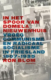 Omslag van In het spoor van Domela Nieuwenhuis