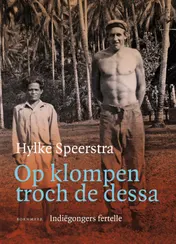 Omslag van Op klompen troch de dessa