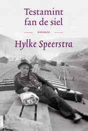 Omslag van Testamint fan de siel