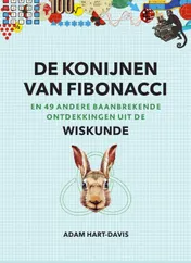 Omslag van De konijnen van Fibonacci