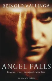 Omslag van Angel falls