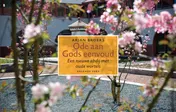 Omslag van Ode aan Gods eenvoud