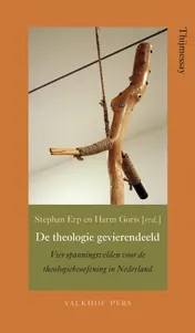 Omslag van De theologie gevierendeeld