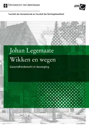 Omslag van Wikken en wegen