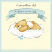 Omslag van Welkom lieve baby
