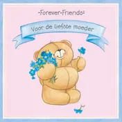 Omslag van Voor de liefste moeder