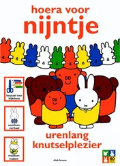 Omslag van nijntje magazine hoera voor nijntje