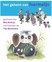 Omslag van Het geheim van Toermalijn