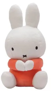 Omslag van nijntje kiekeboe knuffel rood