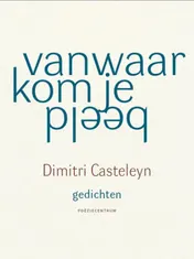 Omslag van Vanwaar kom je beeld