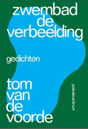Omslag van Zwembad de verbeelding